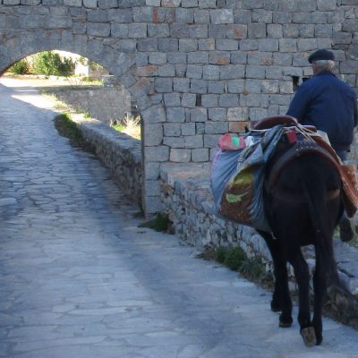 23) distintas culturas y gastronomia