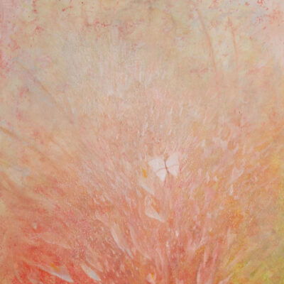 120 x 60